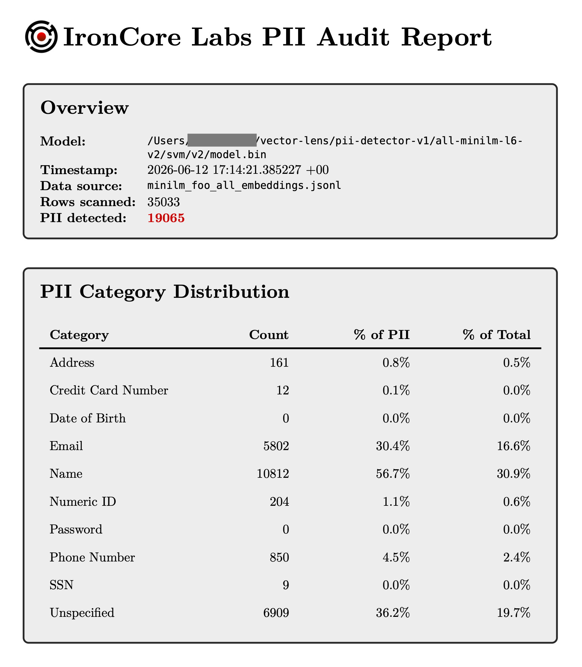 A VectorLens PDF report summarizing the PII discovered across a set of scanned embeddings