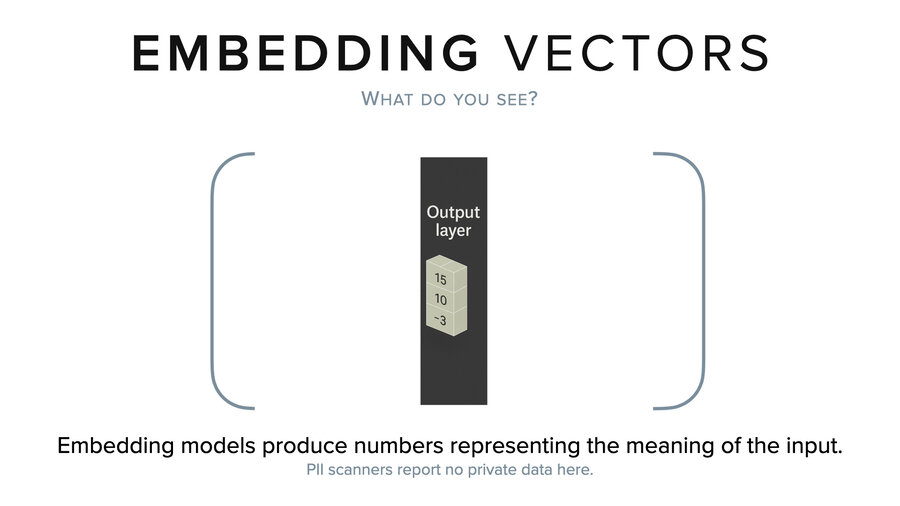 What do you see when you look at a vector?